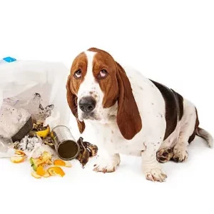 istockphoto-503569779-612x612